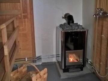 Фото номера Дом для отпуска Дома для отпуска Holiday Home Peukaloinen г. Hirsjärvi 6